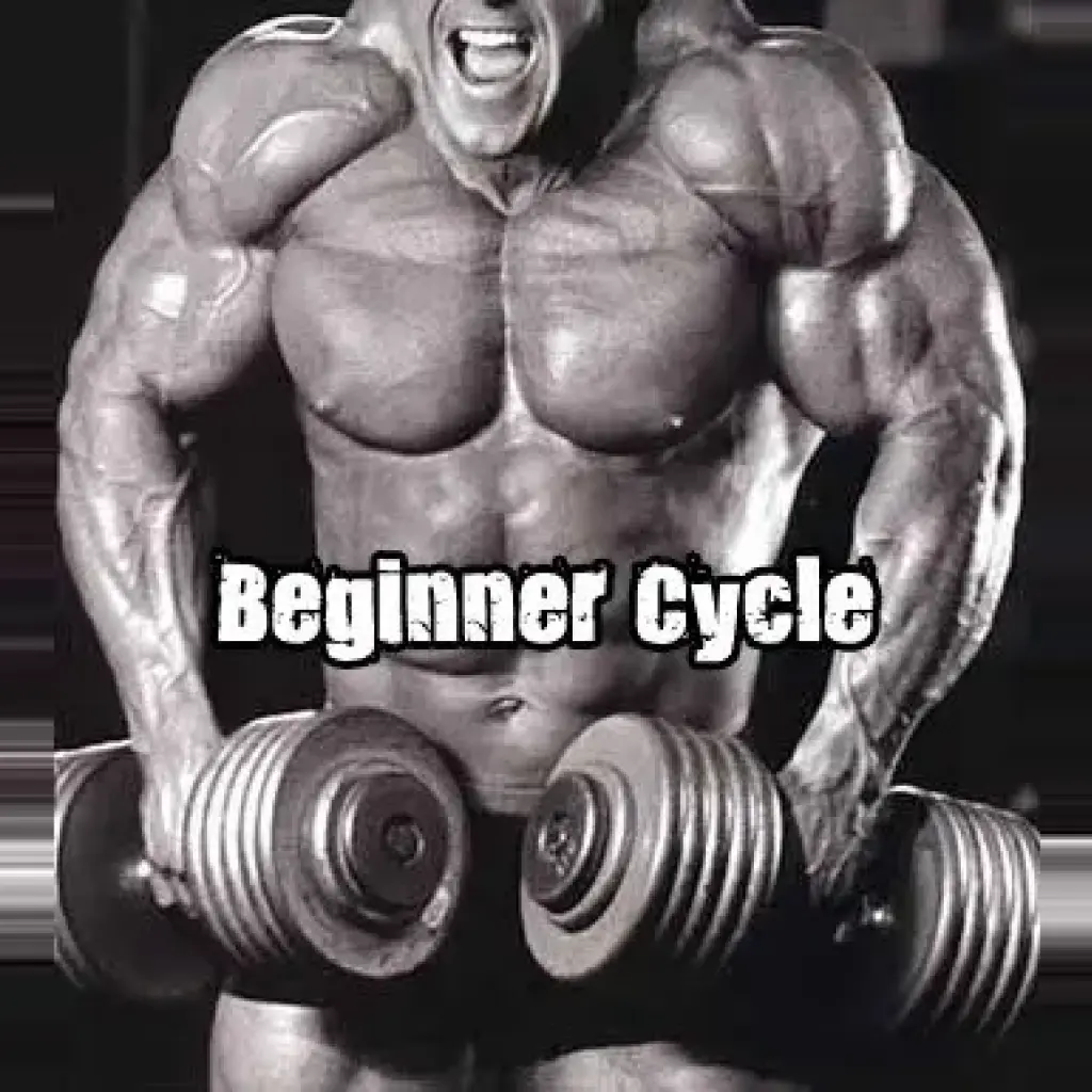 Buy The Beginner! Online Buy The Beginner! Online